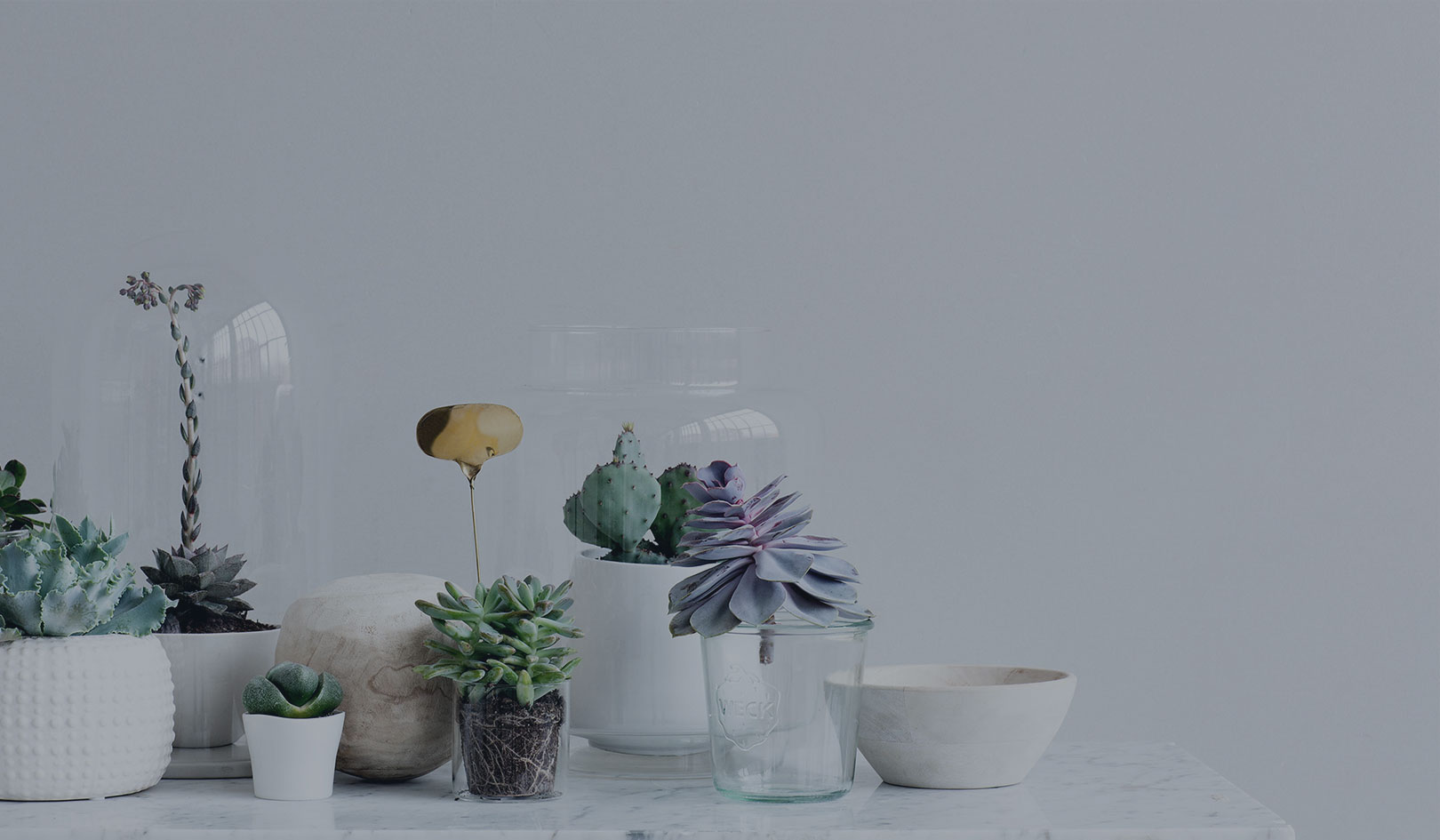 Tree Shop Home