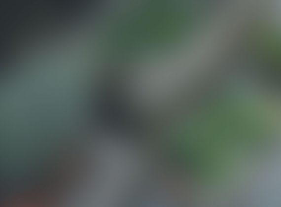 background background