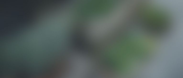 background background